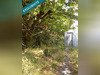 Ma-Cabane - Vente Maison Meusnes, 80 m²