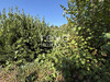Ma-Cabane - Vente Maison MEXIMIEUX, 150 m²