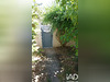 Ma-Cabane - Vente Maison Mèze, 91 m²