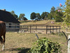 Ma-Cabane - Vente Maison MEZIDON-CANON, 160 m²