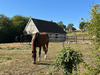 Ma-Cabane - Vente Maison MEZIDON-CANON, 160 m²