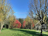 Ma-Cabane - Vente Maison Mirandol-Bourgnounac, 245 m²