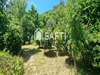 Ma-Cabane - Vente Maison Miraval-Cabardes, 399 m²