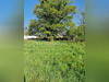 Ma-Cabane - Vente Maison Missillac, 58 m²