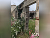 Ma-Cabane - Vente Maison Moncrabeau, 225 m²