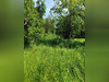 Ma-Cabane - Vente Maison Mont, 323 m²