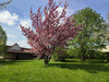 Ma-Cabane - Vente Maison MONT-SAINT-ELOI, 200 m²