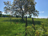Ma-Cabane - Vente Maison MONT SAINT JEAN, 142 m²