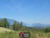 Ma-Cabane - Vente Maison MONTAGNOLE, 166 m²