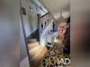 Ma-Cabane - Vente Maison Montapas, 92 m²