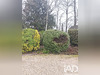 Ma-Cabane - Vente Maison Montauban, 157 m²