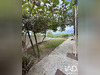 Ma-Cabane - Vente Maison Montayral, 148 m²