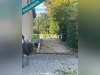 Ma-Cabane - Vente Maison Montbrison, 110 m²