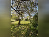 Ma-Cabane - Vente Maison Montcaret, 450 m²