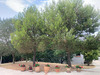 Ma-Cabane - Vente Maison MONTCLAR, 75 m²