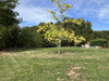 Ma-Cabane - Vente Maison MONTENDRE, 200 m²