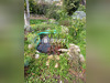 Ma-Cabane - Vente Maison Montesquieu-des-Alberes, 87 m²