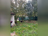 Ma-Cabane - Vente Maison MONTFAUCON, 105 m²