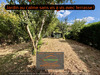 Ma-Cabane - Vente Maison Montgermont, 112 m²