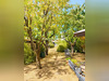 Ma-Cabane - Vente Maison MONTLUCON, 105 m²