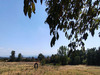 Ma-Cabane - Vente Maison MONTOLIEU, 178 m²