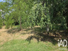 Ma-Cabane - Vente Maison Montrem, 240 m²