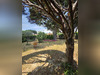 Ma-Cabane - Vente Maison Morières-lès-Avignon, 107 m²