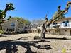 Ma-Cabane - Vente Maison Morsang-sur-Seine, 420 m²