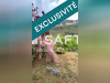 Ma-Cabane - Vente Maison Mostuejouls, 48 m²