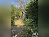 Ma-Cabane - Vente Maison Moulins, 196 m²