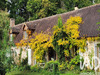 Ma-Cabane - Vente Maison Moulins sur Céphons, 129 m²