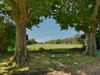 Ma-Cabane - Vente Maison MOURIES, 216 m²