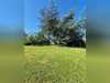 Ma-Cabane - Vente Maison Naintre, 98 m²