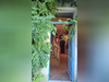 Ma-Cabane - Vente Maison Nancras, 350 m²