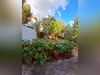 Ma-Cabane - Vente Maison NANTERRE, 57 m²