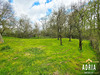Ma-Cabane - Vente Maison Narbéfontaine, 178 m²