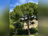 Ma-Cabane - Vente Maison Neffiès, 375 m²