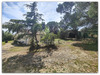 Ma-Cabane - Vente Maison NEFFIES, 95 m²