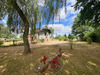 Ma-Cabane - Vente Maison NEUVILLE SUR TOUQUES, 85 m²