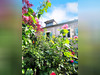 Ma-Cabane - Vente Maison NEVERS, 243 m²