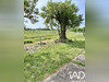 Ma-Cabane - Vente Maison Nieulle-sur-Seudre, 146 m²