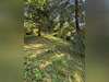 Ma-Cabane - Vente Maison NISTOS, 40 m²