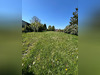 Ma-Cabane - Vente Maison Noeux-les-Mines, 112 m²