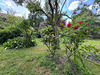 Ma-Cabane - Vente Maison NOISY-LE-SEC, 120 m²