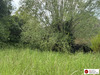 Ma-Cabane - Vente Maison Normier, 50 m²