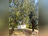 Ma-Cabane - Vente Maison Obterre, 138 m²