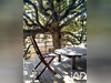 Ma-Cabane - Vente Maison Orange, 245 m²