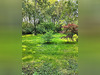 Ma-Cabane - Vente Maison Orbigny, 406 m²