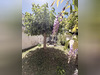 Ma-Cabane - Vente Maison Orleans, 240 m²