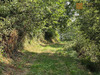Ma-Cabane - Vente Maison Ourdon, 102 m²
